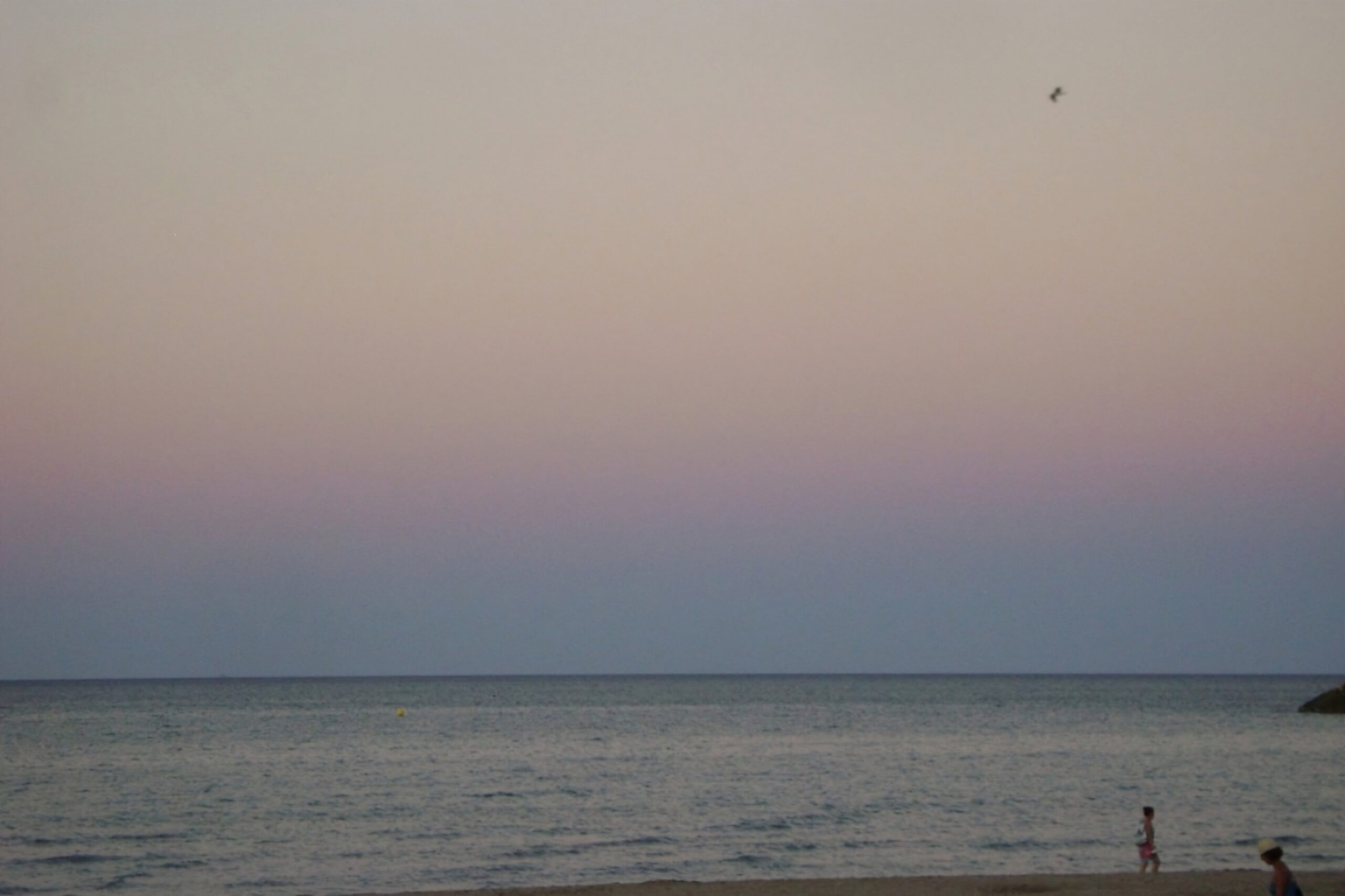 WhatsApp_Image_2024-02-15_at_09.18.21-transformed